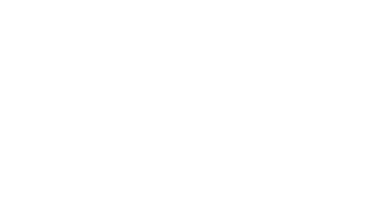 Viking Hotel Logo