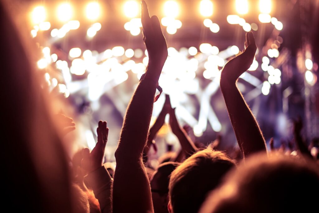 Crowd of people at a live music event