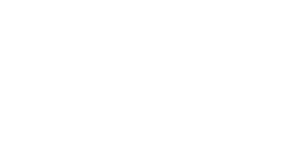 Viking Hotel White Logo