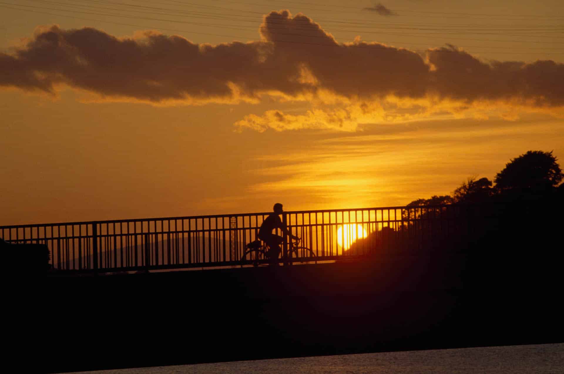 Cyclist in sunset view
