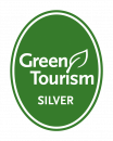 GT generic silver transparent